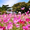 秋分の日